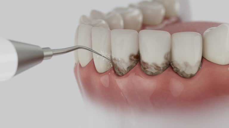 Reliable Dental contractor in East Moline, IL by Dentist Open Now
